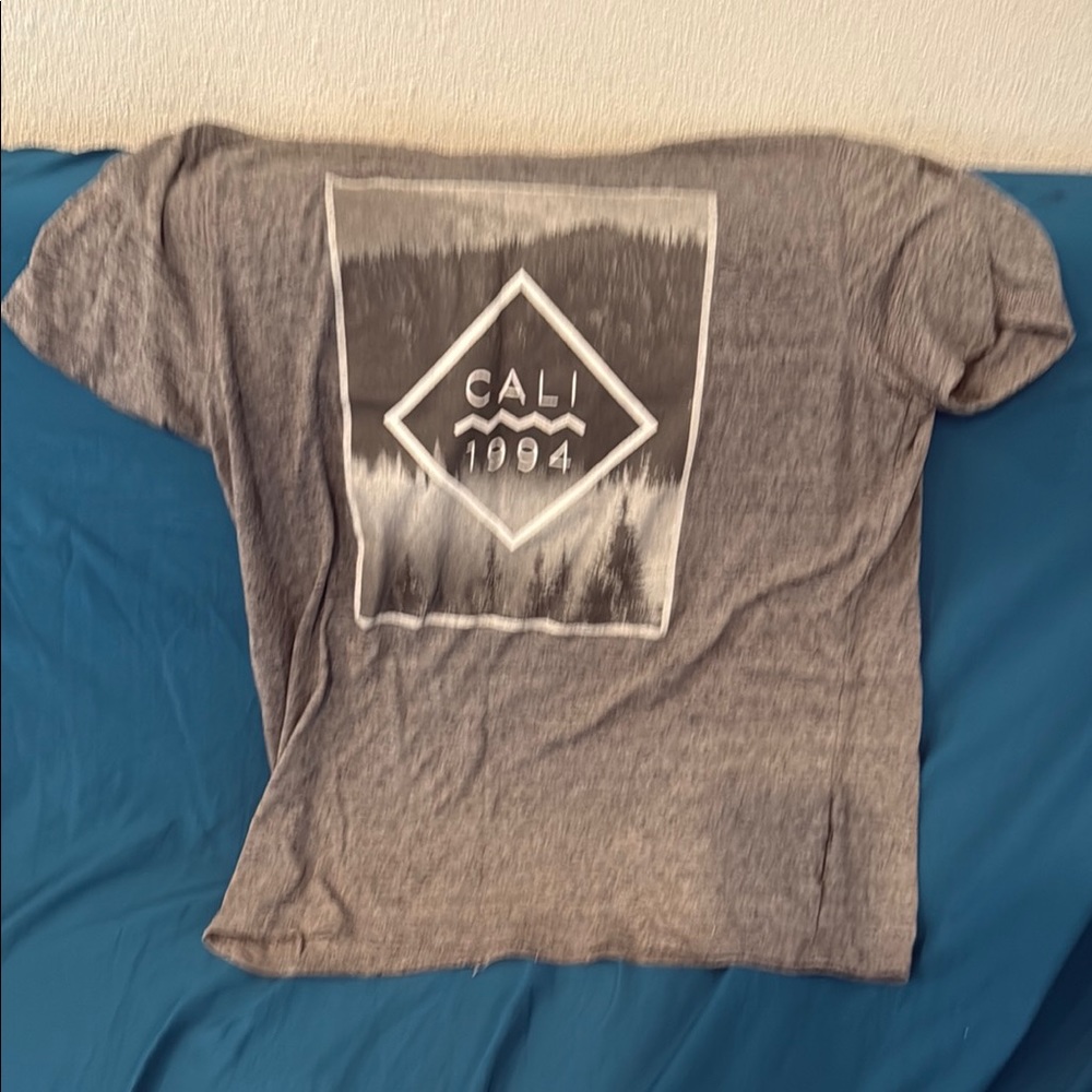 Gray Short Sleeve Tee with Graphic Design